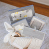 Welcome Baby - Gender Neutral Gift Basket-2