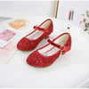 Little Heels For Kids Princess Leather Shoes