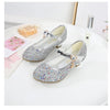 Little Heels For Kids Princess Leather Shoes