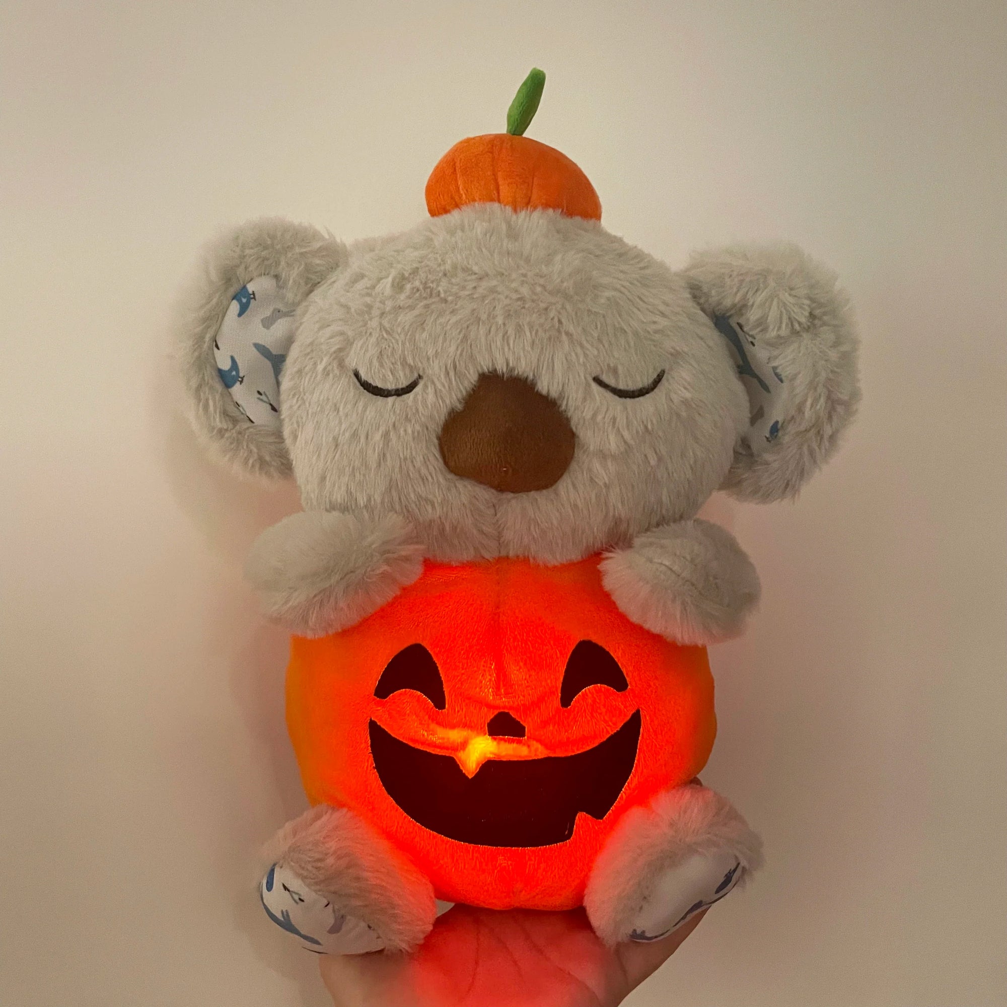 Soothing Baby Bear Plush Toy-16