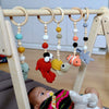 Montessori Baby Gym & Hanging Toys Set | Wooden Play Gym for Babies-0